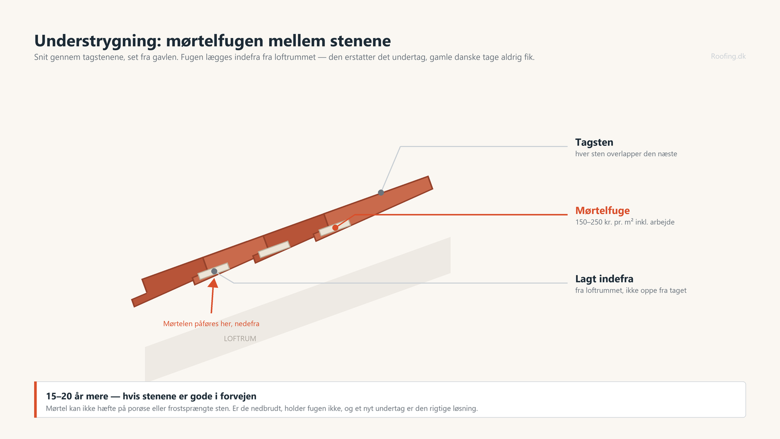 Snit gennem overlappende tagsten med mørtelfugen synlig på undersiden og loftrummet nedenunder